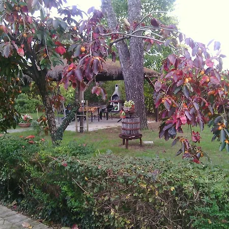Agriturismo Artisti Del Cavallo Farm stay *