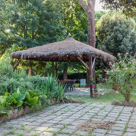 Agriturismo Artisti Del Cavallo Farm stay