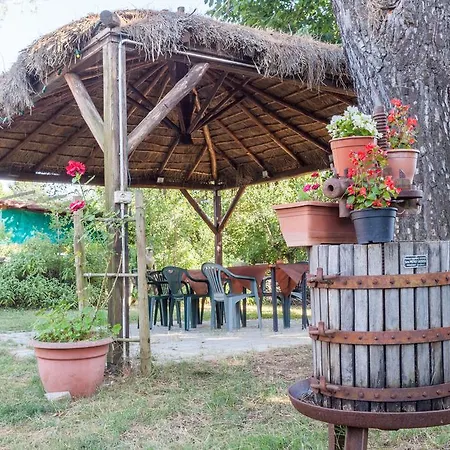 Farm stay Agriturismo Artisti Del Cavallo